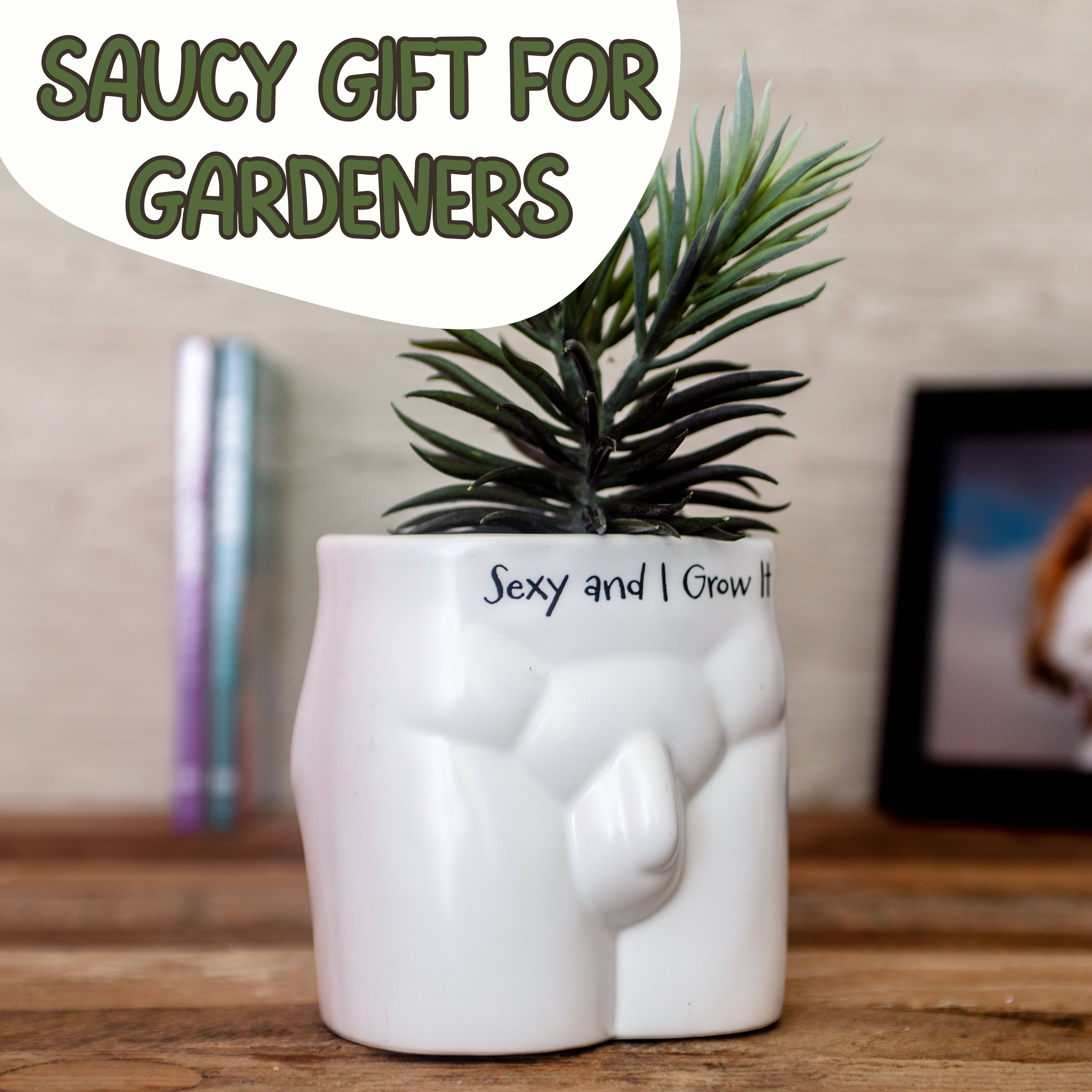 Boxer Gifts - Wholesale Plant Pot - Sexy and I Grow It Put Some Plants On Novelty Indoor Planter2