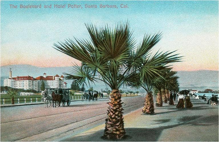 Found Image Press – wholesale Postcard – Postcard SB-13 Hotel Potter, Palm Trees, Santa Barbara, Cali0