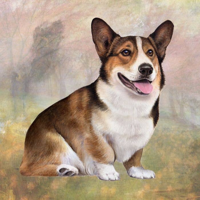 Sottobicchiere quadrato Welsh Corgi per la vendita all'ingrosso da parte di E&S Pets