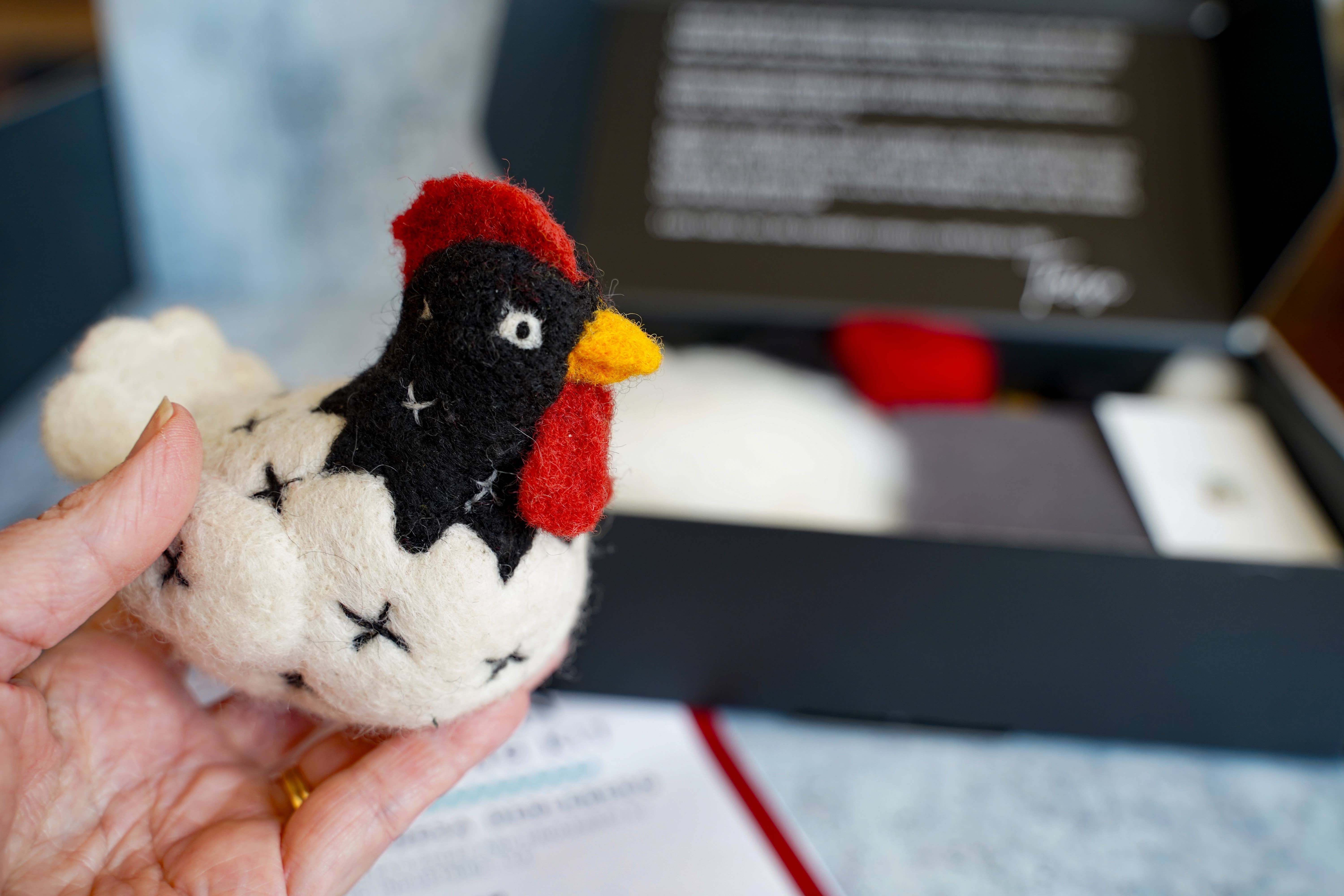 Bear Creek Felting - Wholesale Craft Sewing Kit - Chicken Needle Felting Kit (Beginner)9