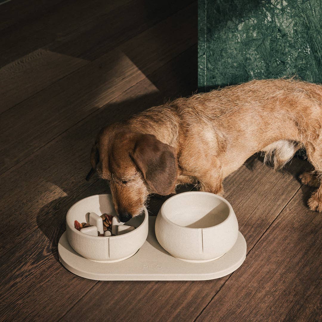 PINO - Wholesale Pet Bowl - Dog - Slow Feeder Bowl18