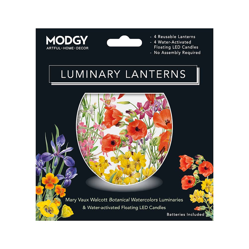 Modgy - Wholesale Lantern - Luminary Lanterns - Mary Vaux Walcott Watercolor Botanicals3