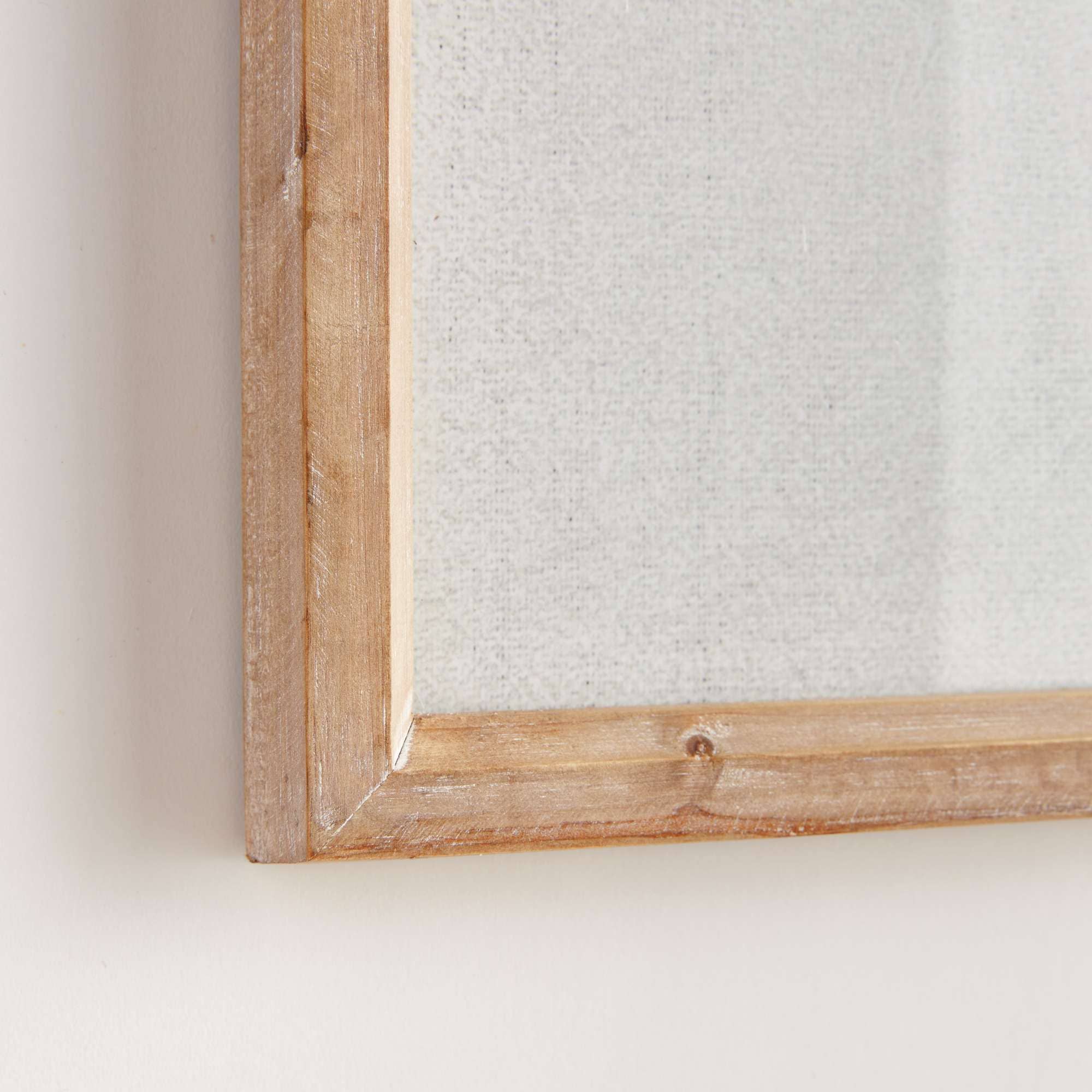 Napa Home & Garden - Wholesale Wall Art Set - Translucent Coral Print - Blue Framed Art - Coastal Decor2