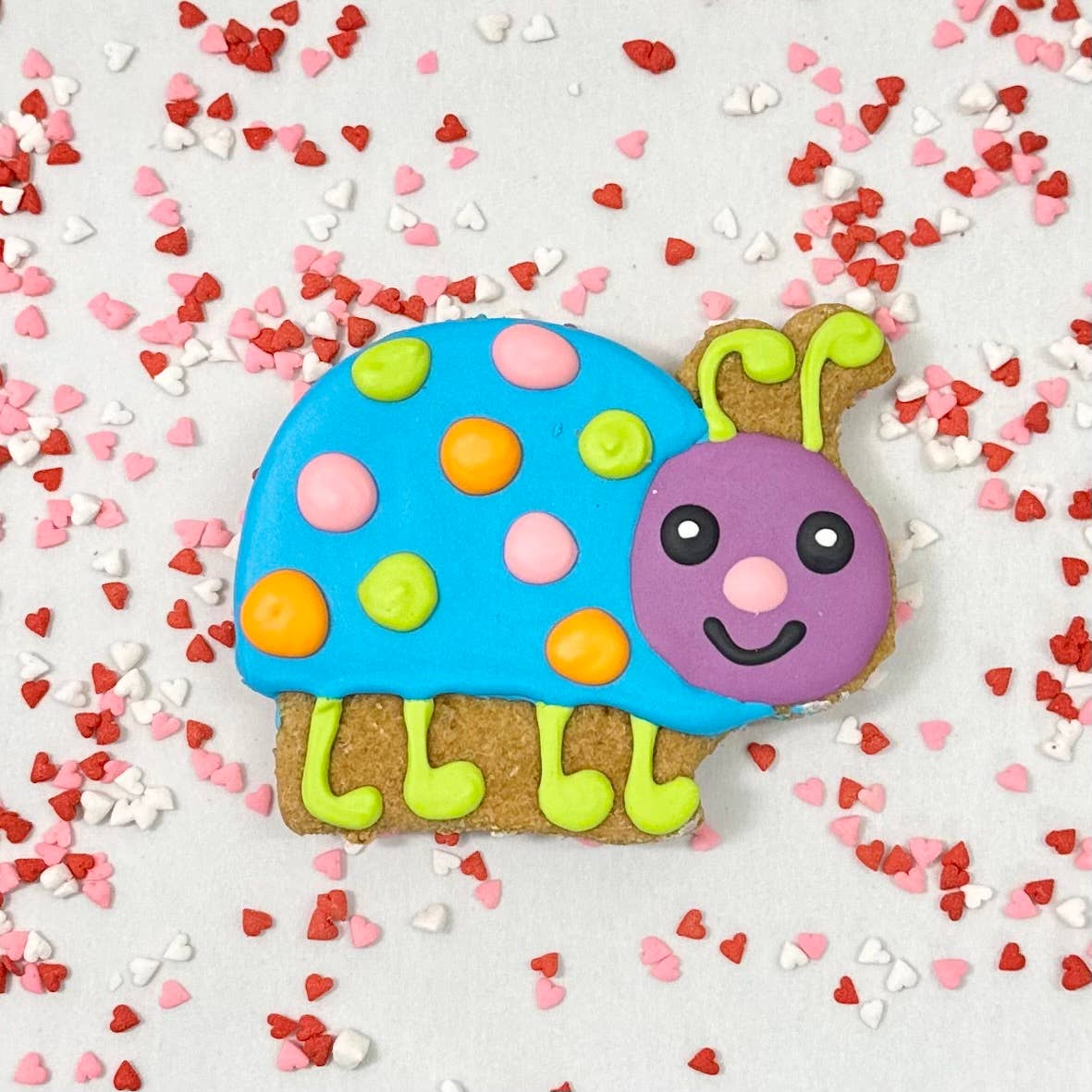 Lucky Biscuit Pet Bakery - Wholesale Pet Treats - Dog - Colorburst Spring Bloom Collection23