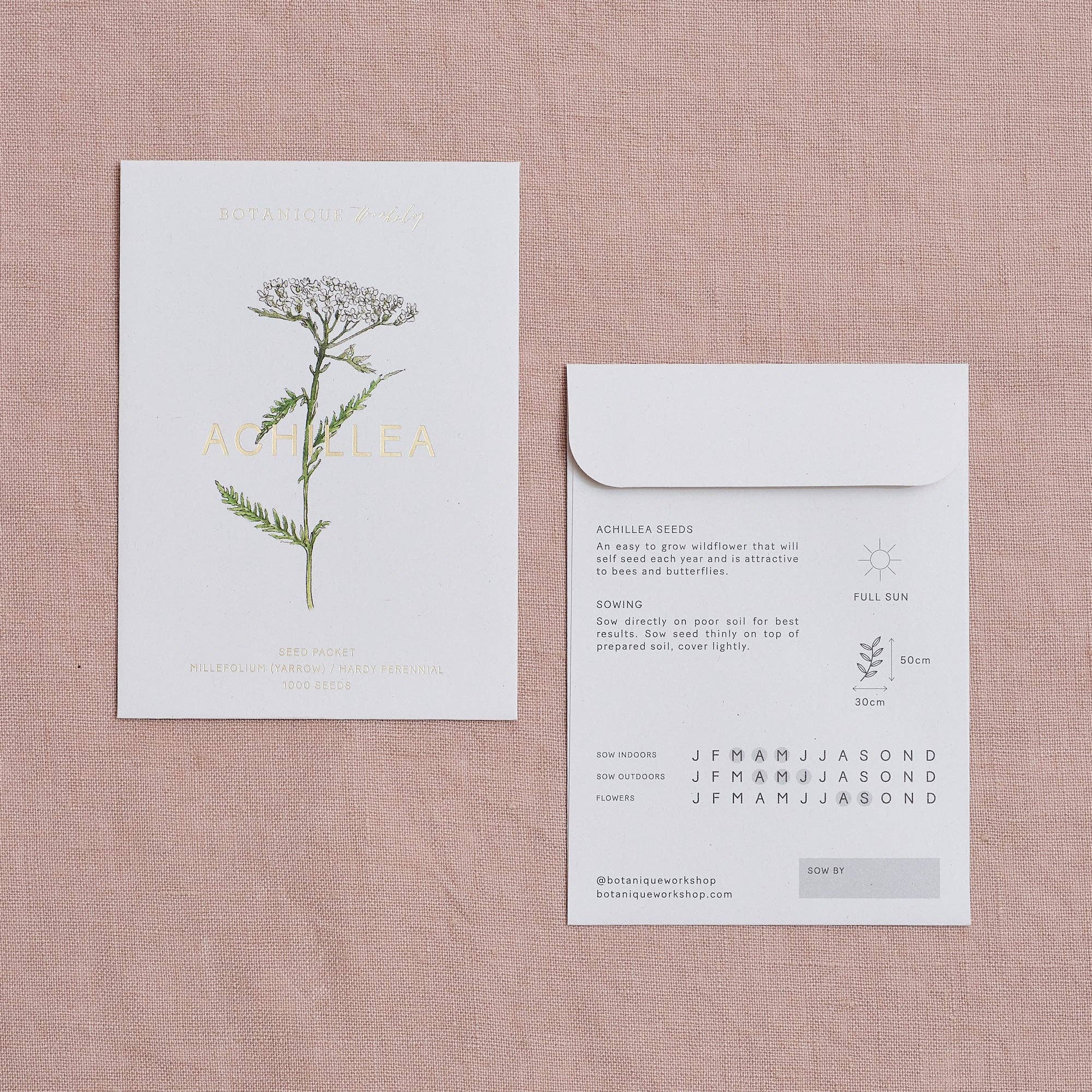 Botanique Workshop – wholesale Plant seeds – Achillea Millefolium (Yarrow) Seed Packet1