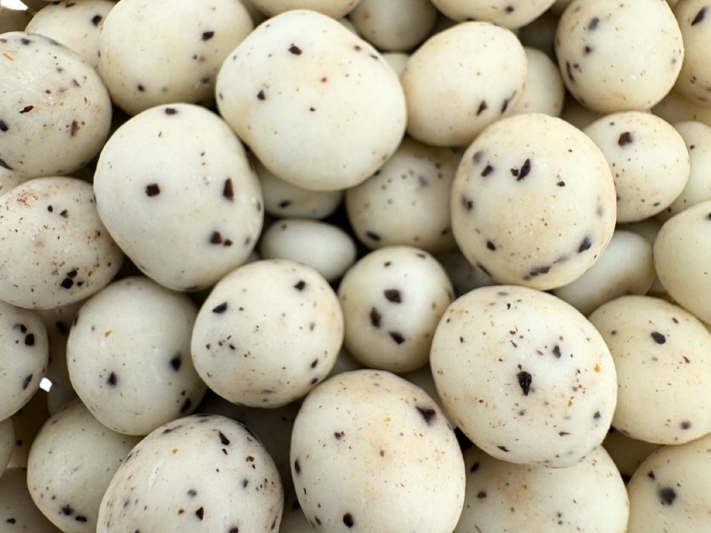 Martin's Country Store LLC – wholesale Coffee beans – COFFEE & CREAM ESPRESSO BEANS 10.4oz1