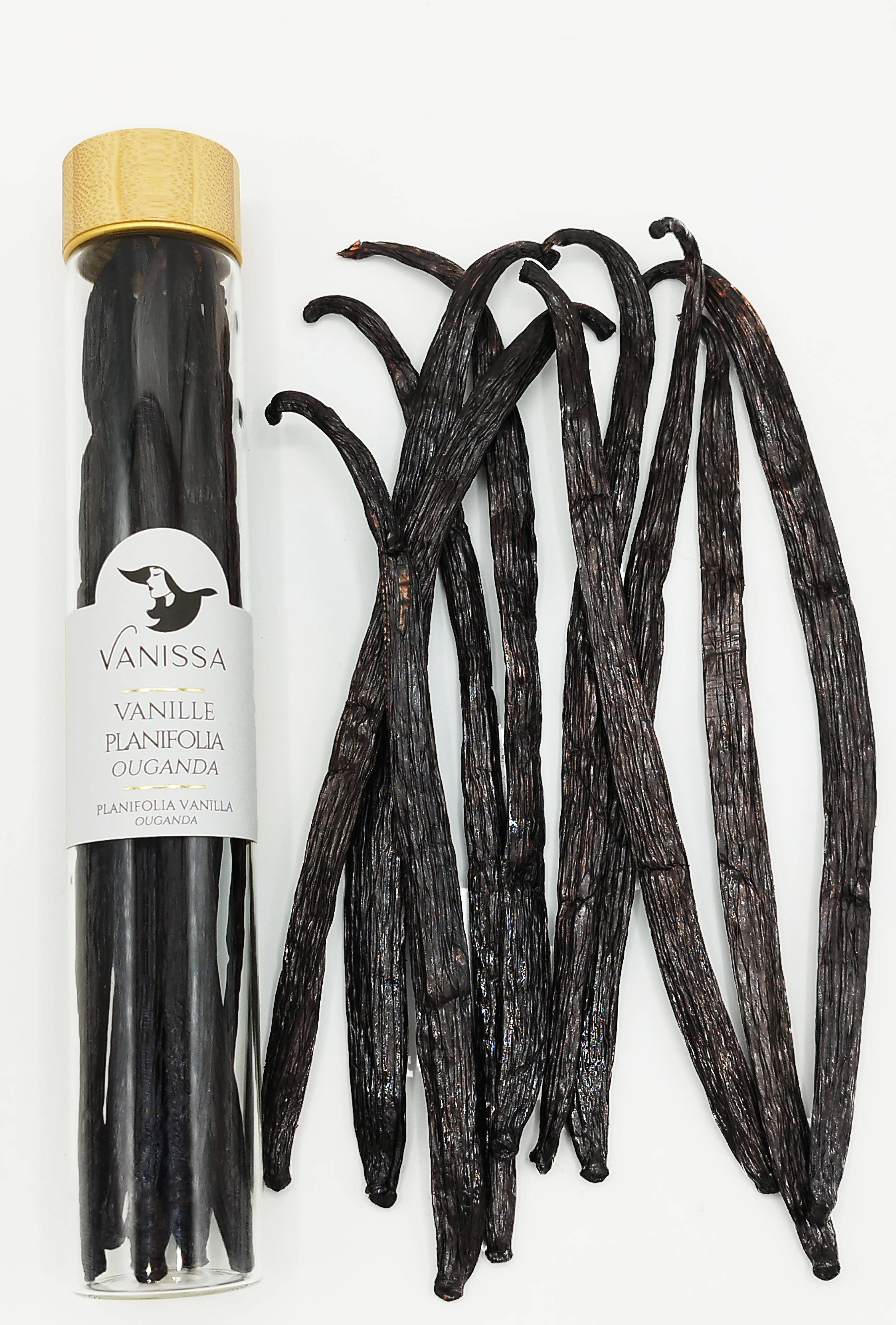 Vanissa – wholesale Vanilla/fruit extract – Planifolia Vanilla Beans - Uganda3