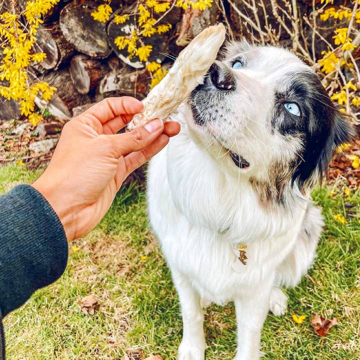 Naked Beasts, Inc. - Wholesale Pet Treats - Dog - Rabbit Feet7