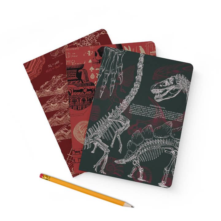 Terra Antiga: Geologia, Paleontologia, Arqueologia por atacado de Atoms to Astronauts