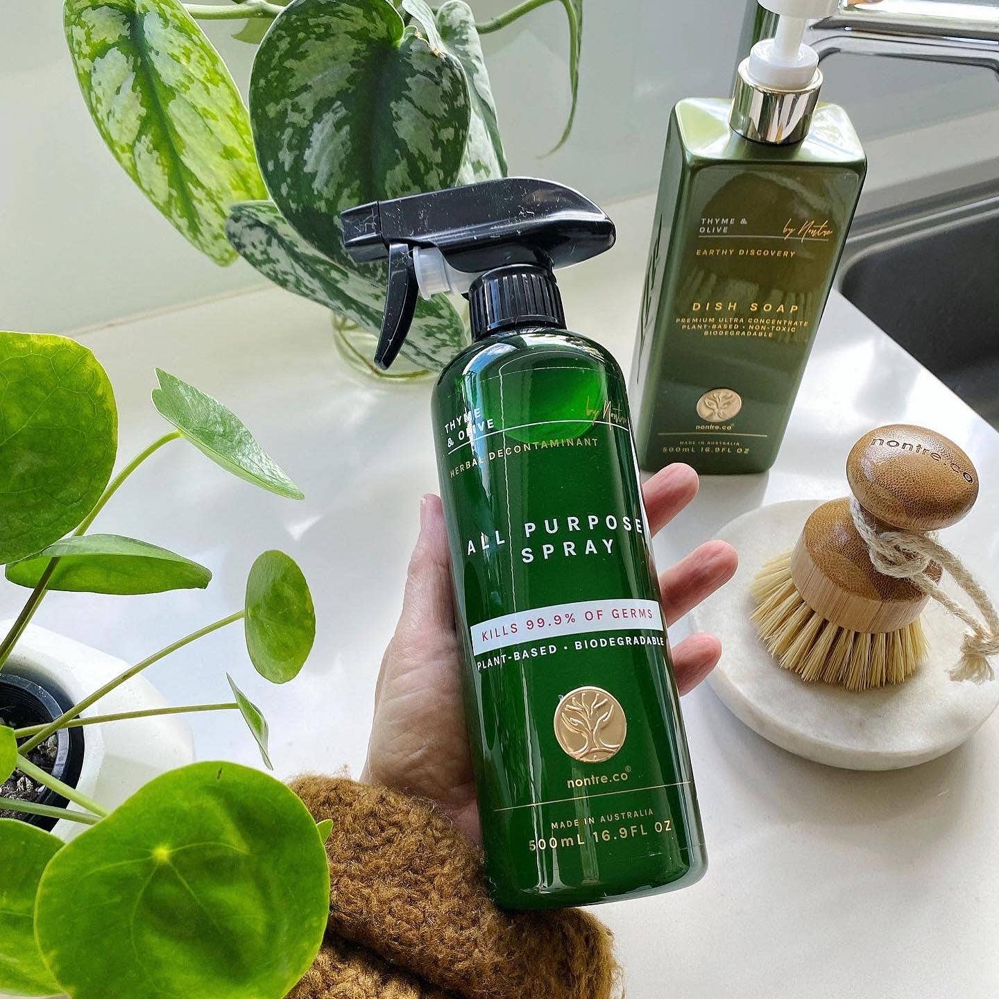 nontre.co - Wholesale All-Purpose Cleaning Spray - Antibacterial All-Purpose Spray 500ML, Thyme & Olive3