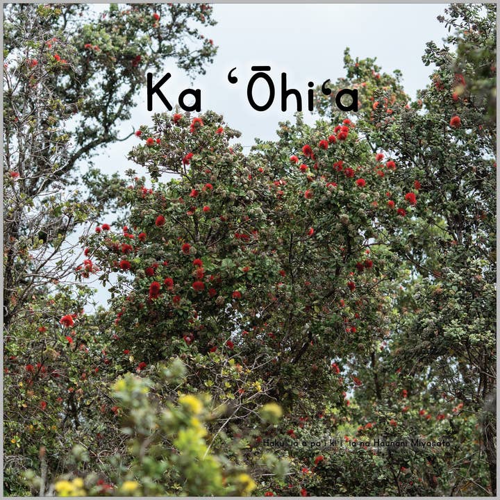 WHOLESALE Ka ʻŌhiʻa for wholesale by Kaulana Mahina