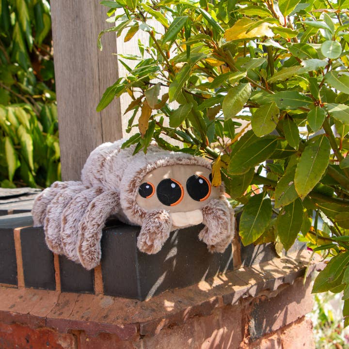 Ancol Pet Products Ltd - Wholesale Pet Plush Toy - Dog - Play Time For Dogs - Soft Sid The Spider
