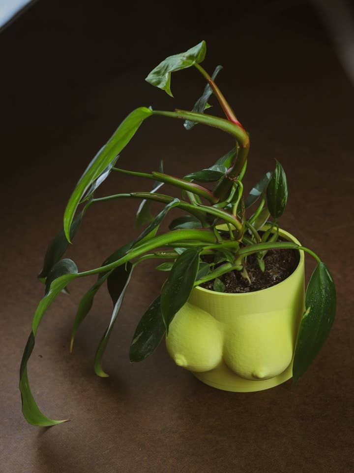 Vaso Boob per la vendita all'ingrosso da parte di Little Shop of Flora