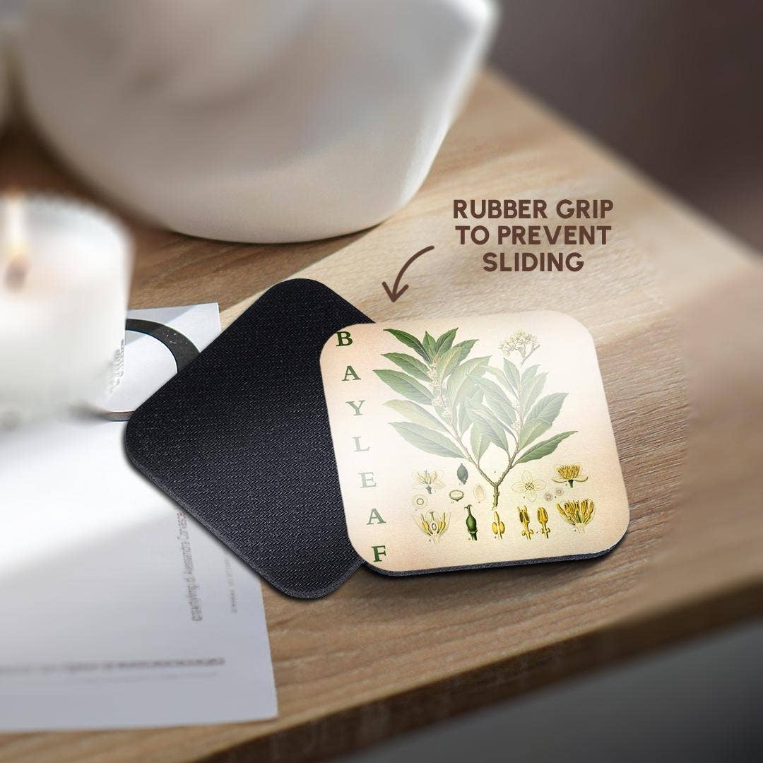 3dRose - Wholesale Coasters - 3dRose, Bay Leaf Kitchen Art - Bay Leaves Tree Herb Plant Print Cooking Gift, Coaster10