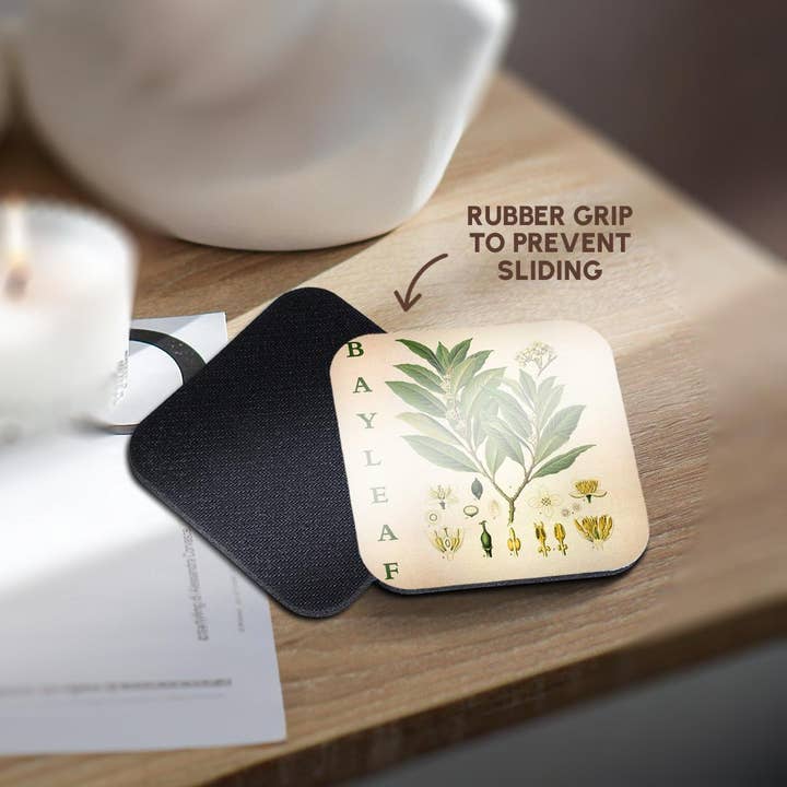 3dRose - Wholesale Coasters - 3dRose, Bay Leaf Kitchen Art - Bay Leaves Tree Herb Plant Print Cooking Gift, Coaster10