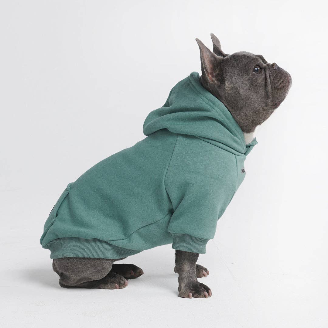 Spark Paws - Wholesale Pet Hoodie - Dog - Essential Dog Hoodie - Teal3