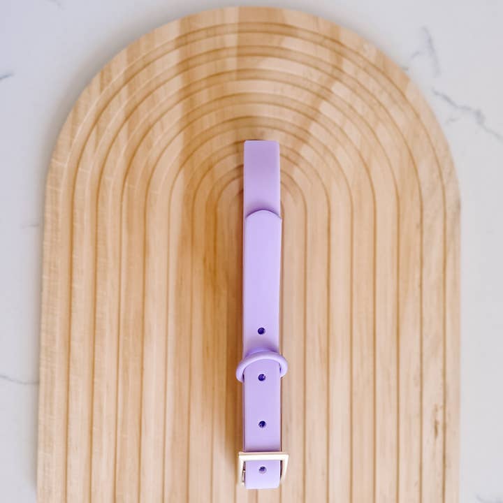 Waterproof Dog Collar - Purple for wholesale by Barks and Brownies