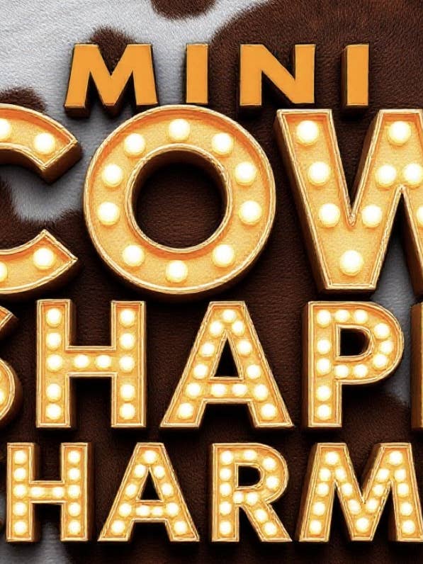 CHARMES DE VOITURE reSCENTit 2P-MINI FORMES pour la vente par reSCENTit ~ Red Dirt Leather