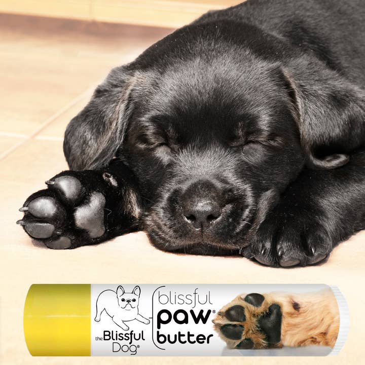 The Blissful Dog - Wholesale Pet paw protection - Paw Butter for Rough, Dry Dog Paws in Tins & Tubes, Paw Balm4