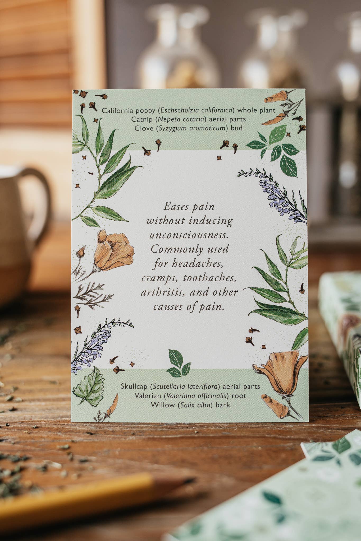 Herbal Academy - Wholesale Learning Cards - Kids & Baby - Herbal Actions Flashcards3