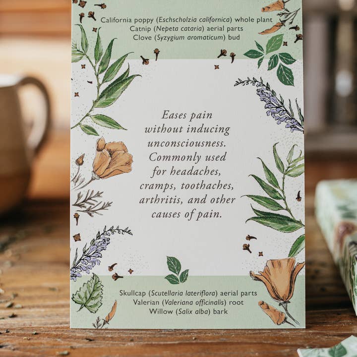 Herbal Academy - Wholesale Learning Cards - Kids & Baby - Herbal Actions Flashcards3