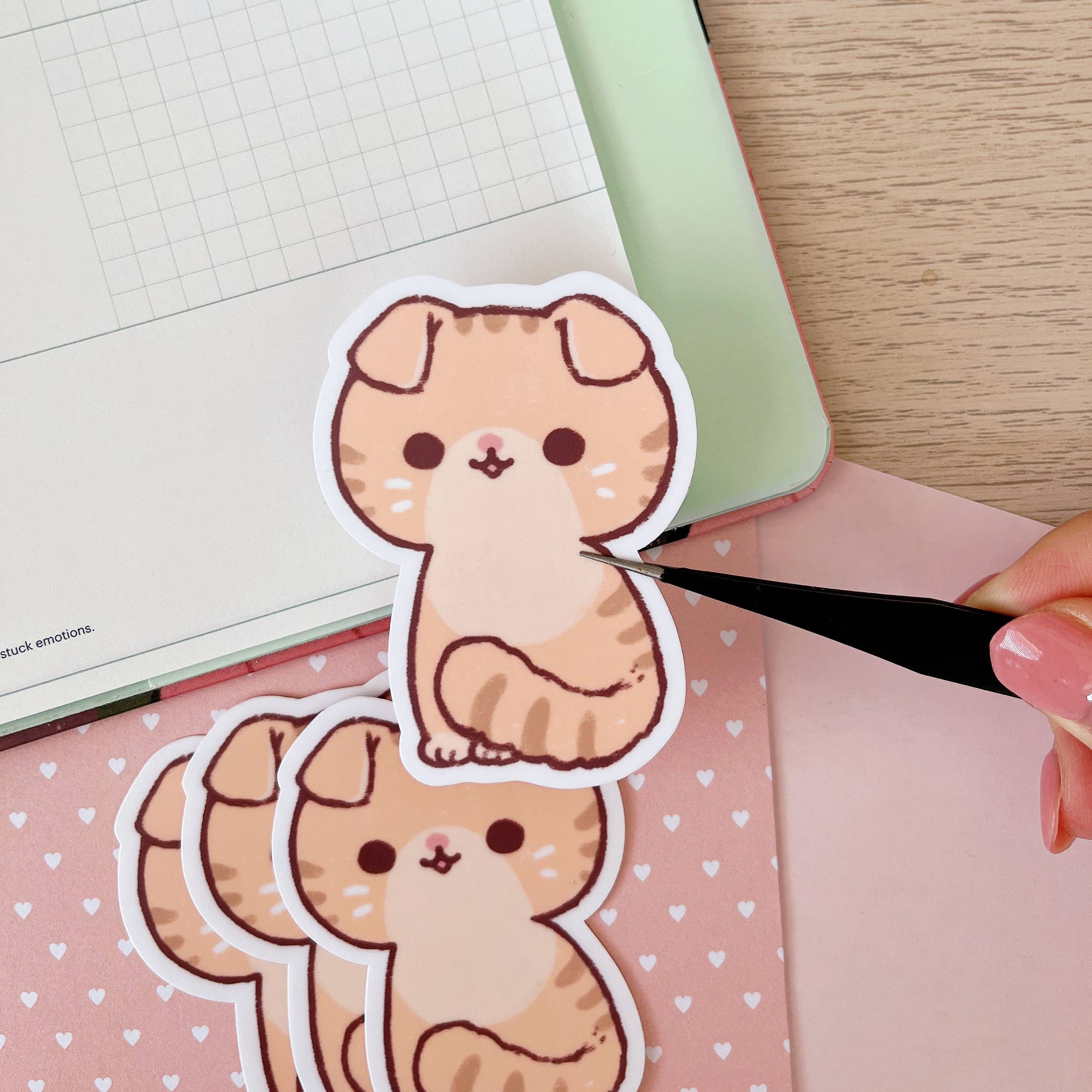 Cherry Rabbit - Wholesale Sticker - Scottish Fold Cat Sticker1