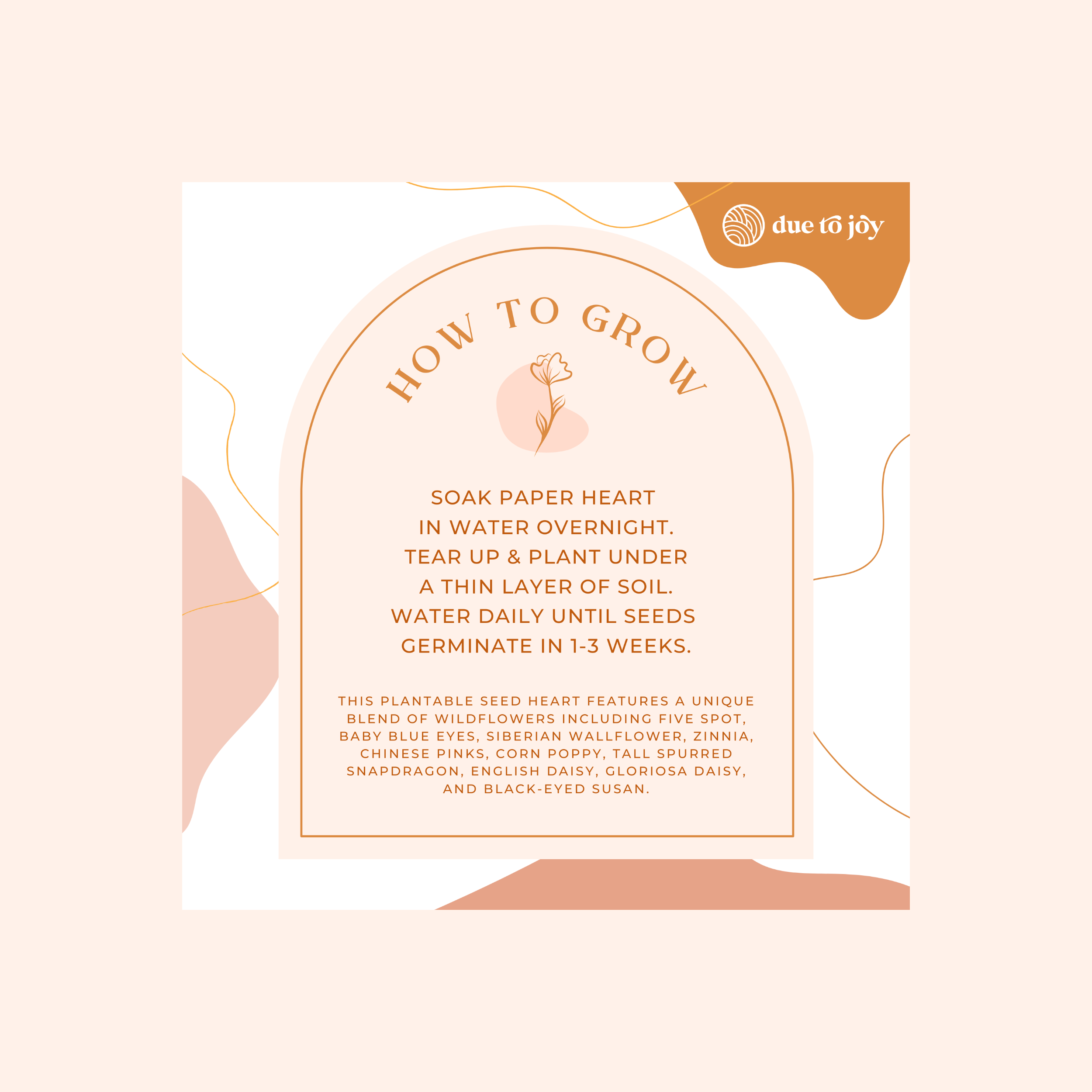 Due To Joy - Wholesale Plant Seeds - Seed Heart Paper Card2