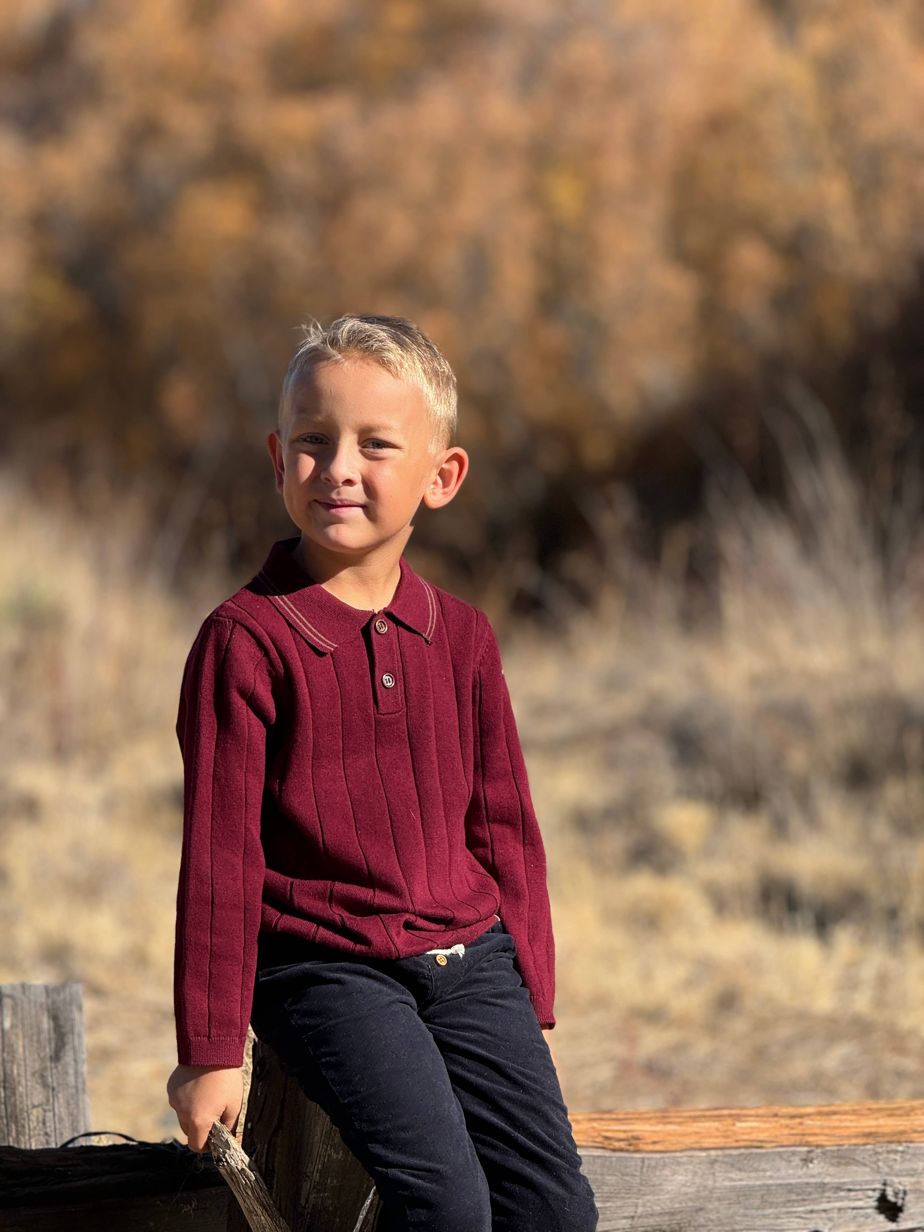 JAYDEN Knitted Polo Burgundy for wholesale on Faire1
