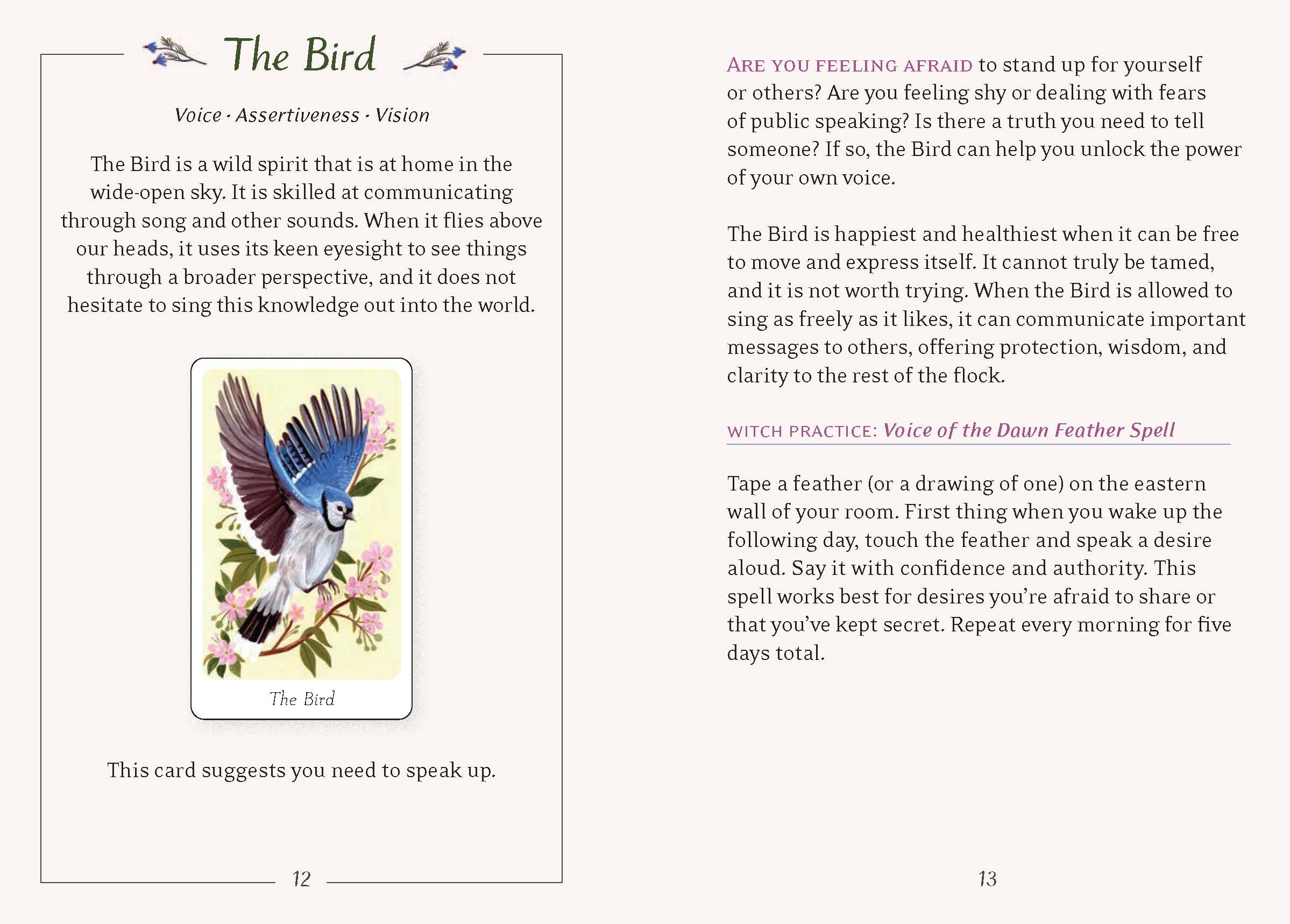 Chronicle Books - Wholesale Tarot Cards - Little Witch's Oracle Deck13