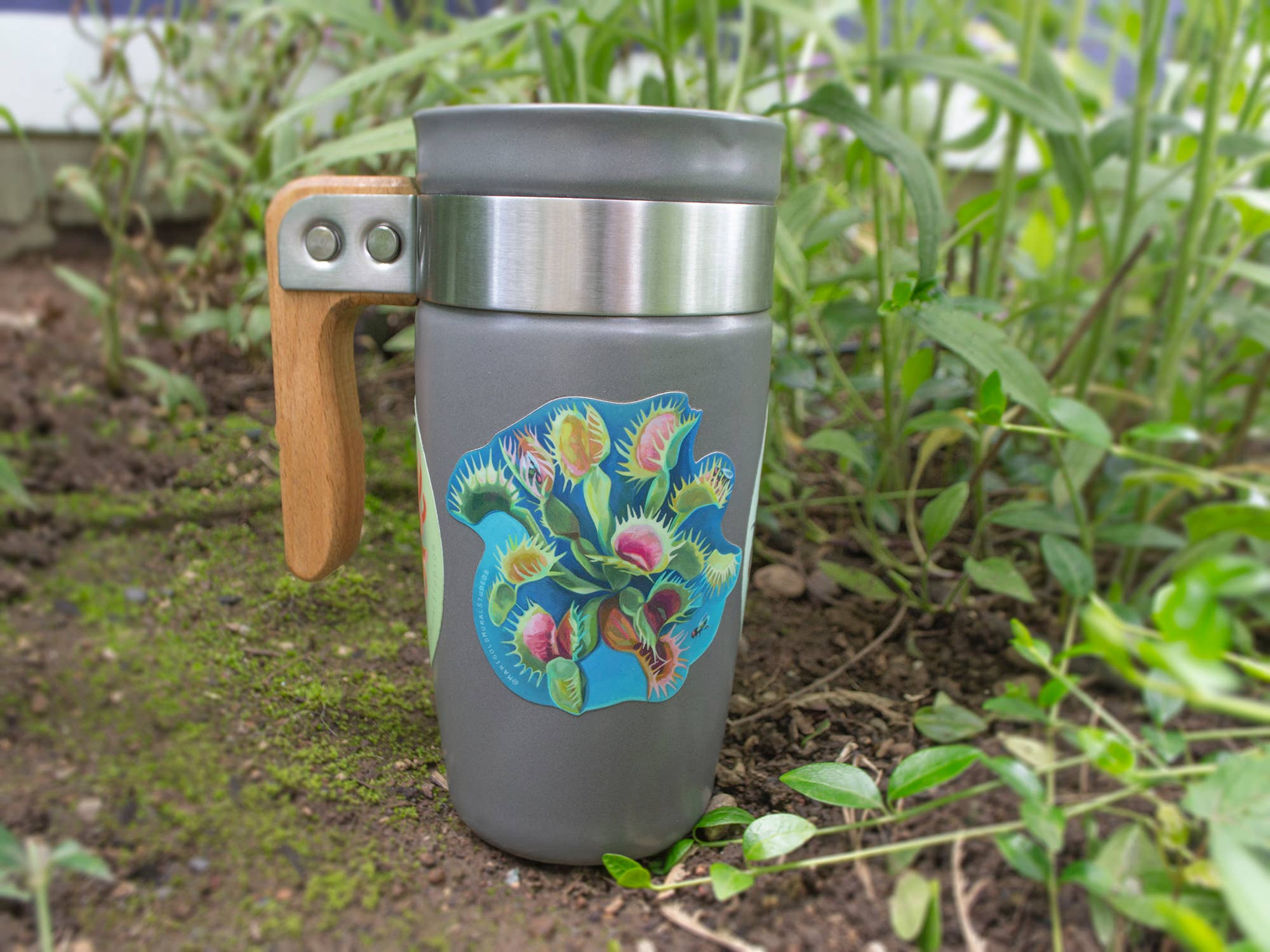 Marigold Art Studios - Wholesale Sticker - Venus Fly Trap Sticker2