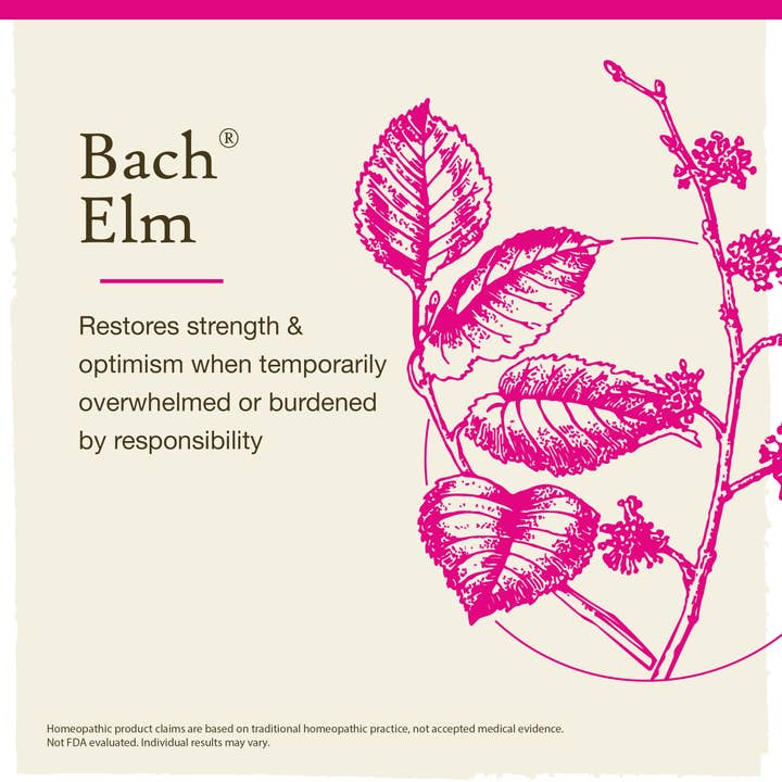 RESCUE & Bach Original Flower Remedies - Wholesale Oral Supplement/Vitamin - Bach Original Flower Remedies Elm 0.7 fl. oz. (20mL)