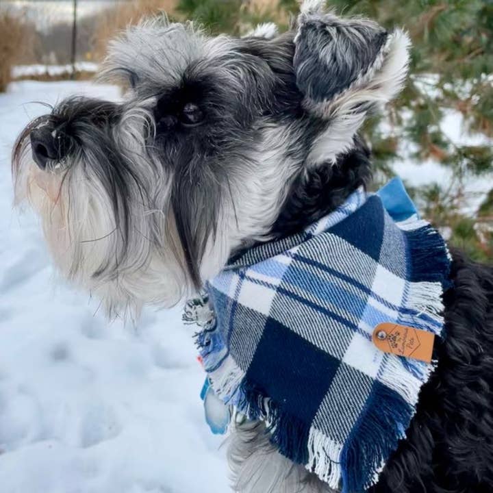 The Luminous Pets - Wholesale Pet Bandana - Dog - Blue/White Plaid Bandana | Cat& Dog Bandana | Adjustable5