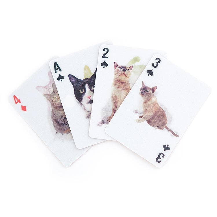 Kikkerland Design Inc - Wholesale Playing Cards - Playing Cards Cats 3D1