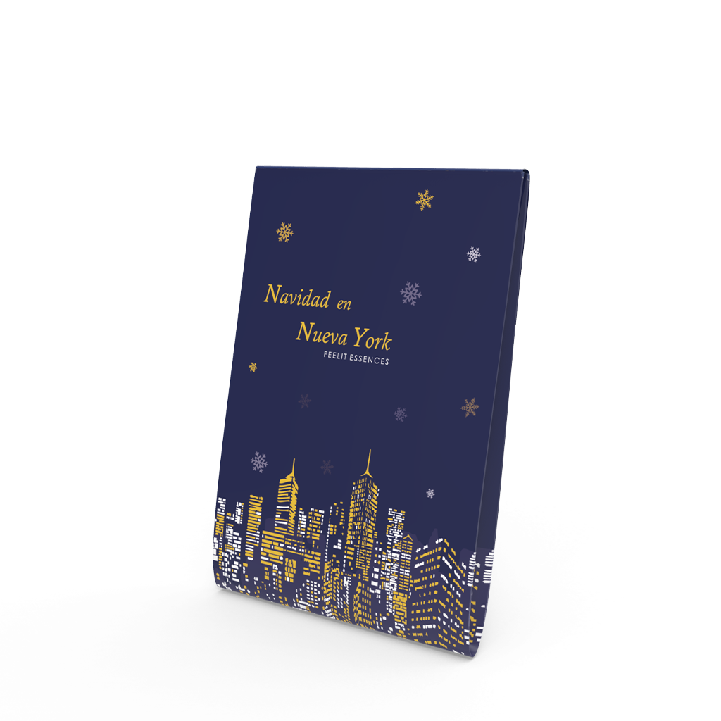 FEELIT-ESSENCES - Wholesale Air Freshener - Scented wardrobe bag. New York Christmas Collection0