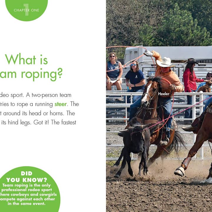 Amicus Publishing - Wholesale Sports & Recreation - Curious about Team Roping2