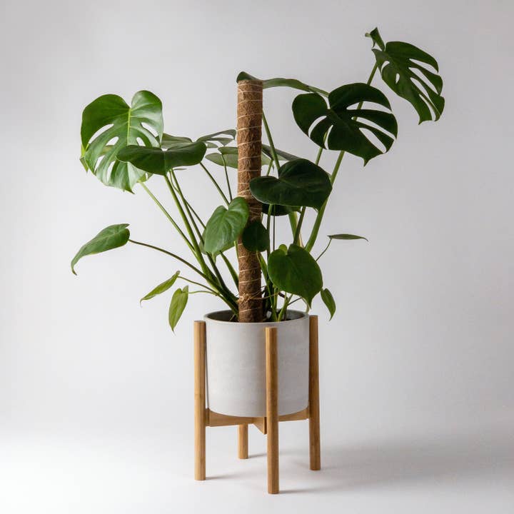 Kanso Designs - Wholesale Plant Pot Stand - Adjustable Bamboo Plant Stand