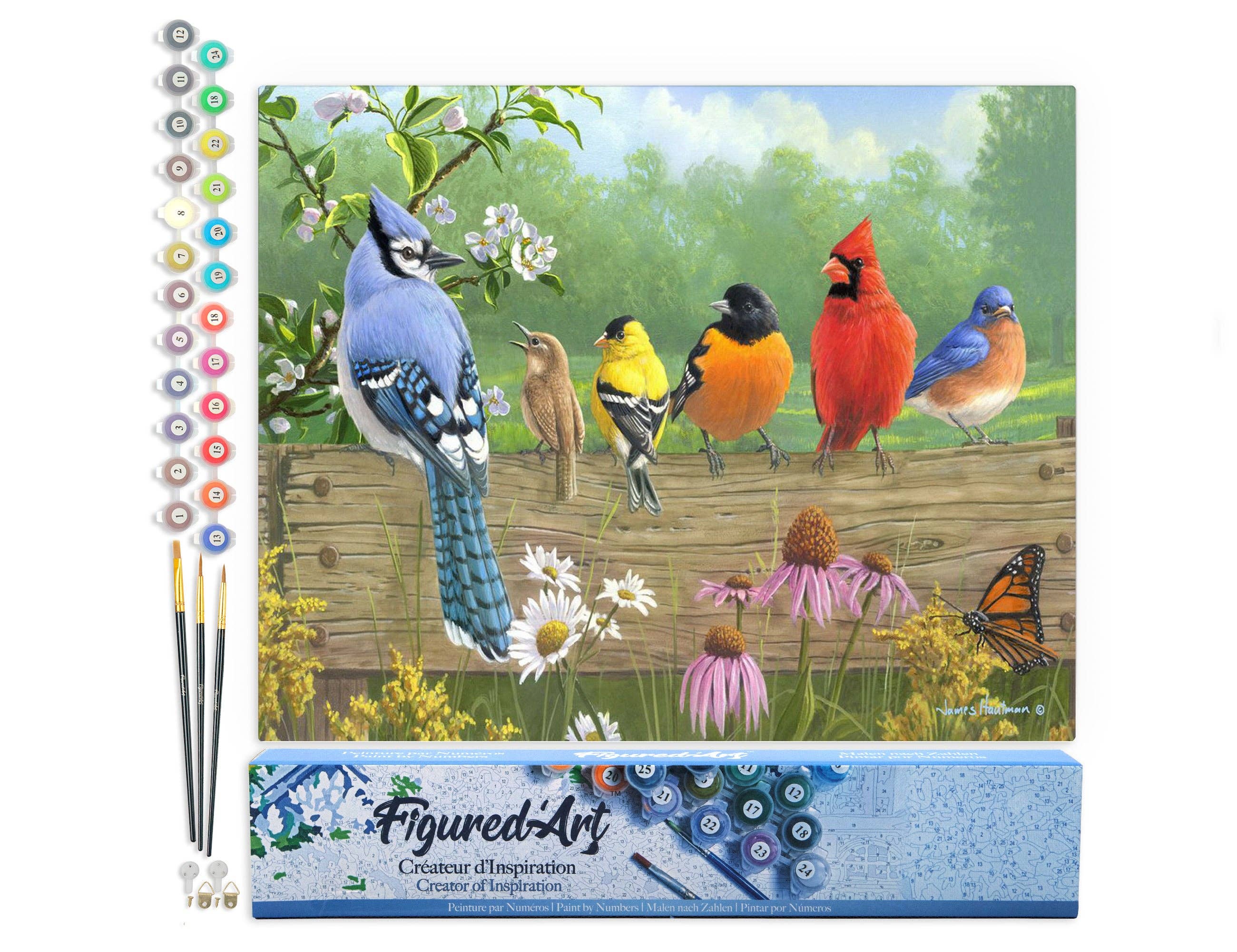 Figured'Art - Wholesale DIY Craft Kit - Paint by numbers Birds On A Fence0