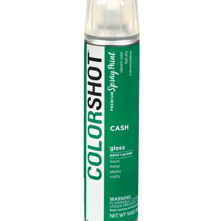 COLORSHOT Gloss Spray Paint Cash (Green) 10 oz. for wholesale by Ilovetocreate