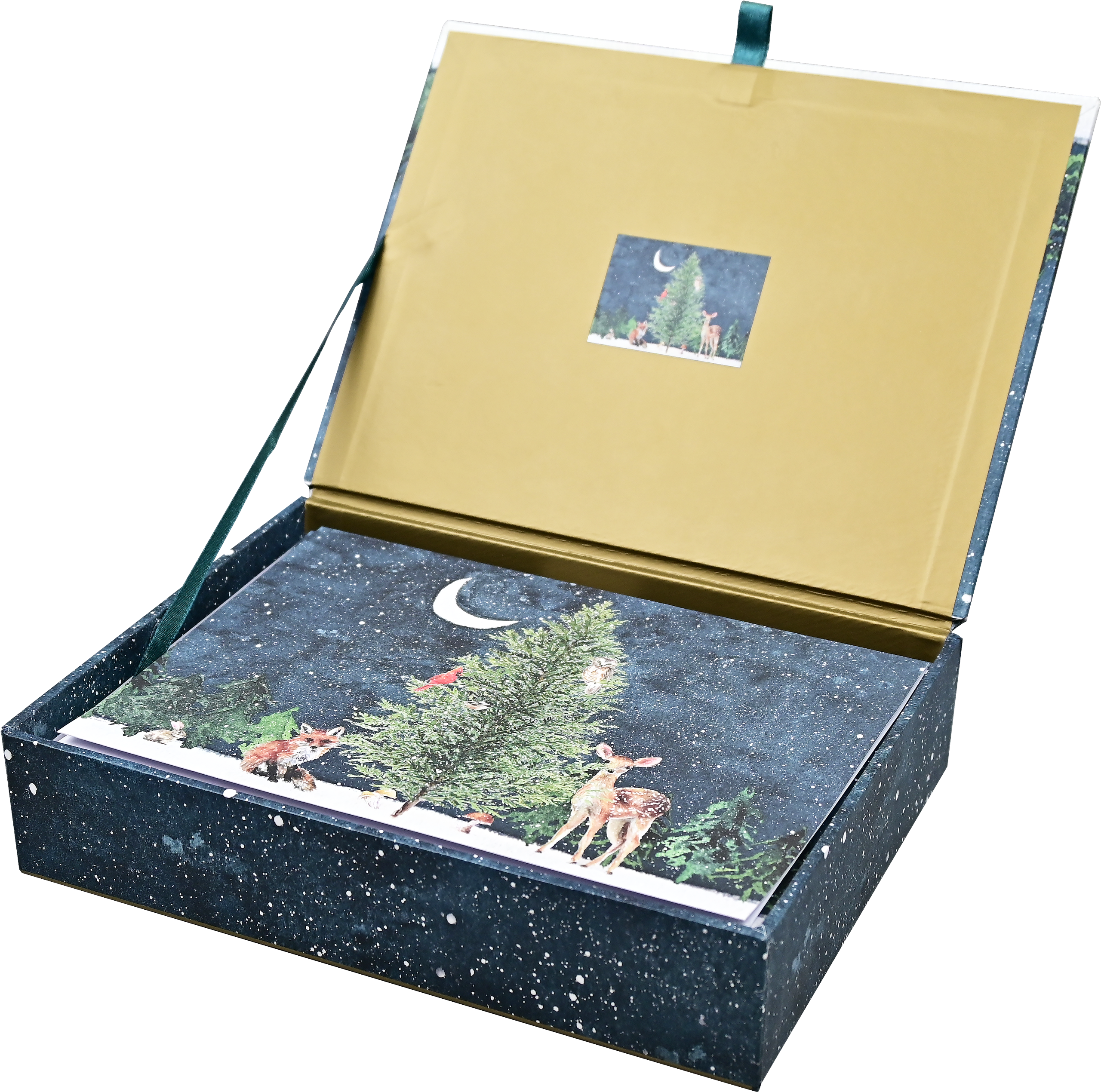 Peter Pauper Press - Wholesale Christmas Card - Moonlit Forest Friends Deluxe Boxed Holiday Cards2