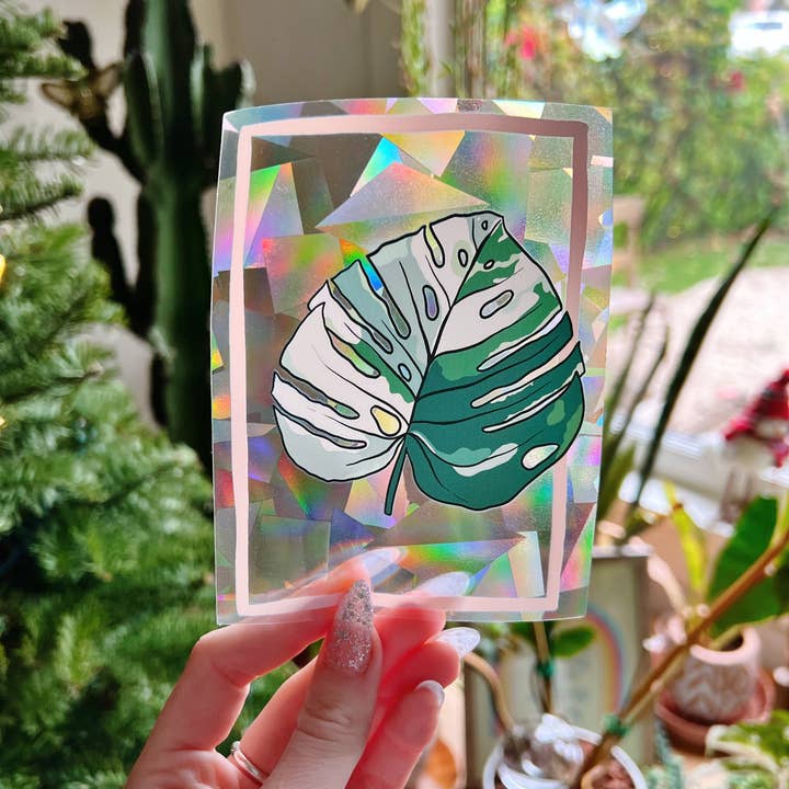 Jess Weymouth - Wholesale Suncatcher - Variegated Monstera Suncatcher Window Decal1