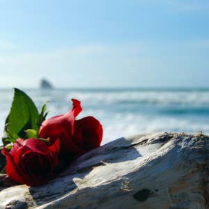 Ocean Rose for wholesale by Barclay Mountain Candles