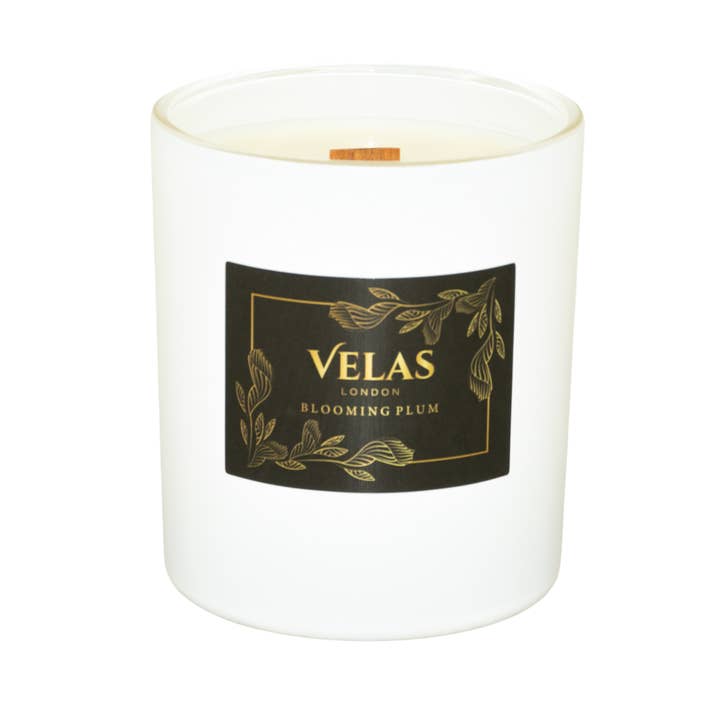 Blooming Plum for wholesale by Velas London