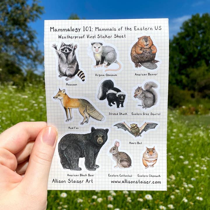 Mammalogy 101: Mammals of the Eastern US A6 Weatherproof Vinyl Sticker Sheet (4.1" x 5.8") for wholesale by Allison Stoiser Art