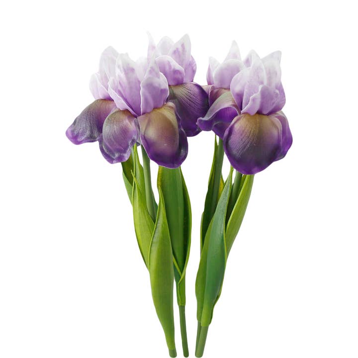 Angel Isabella - Wholesale Artificial Flowers - 18"-Ultra Soft Real Touch Bearded Iris Stem1