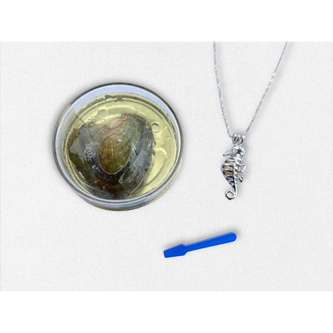 7 Star – Großhandel Kette mit Anhänger/Charm – „Sea Horse“ Love Pearl Kit Kettenset2