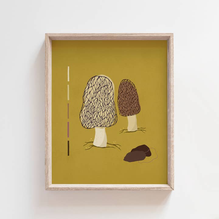 Morels – Fungi Forager Mushroom Art Print for wholesale by Maile Lani Art + Illustration