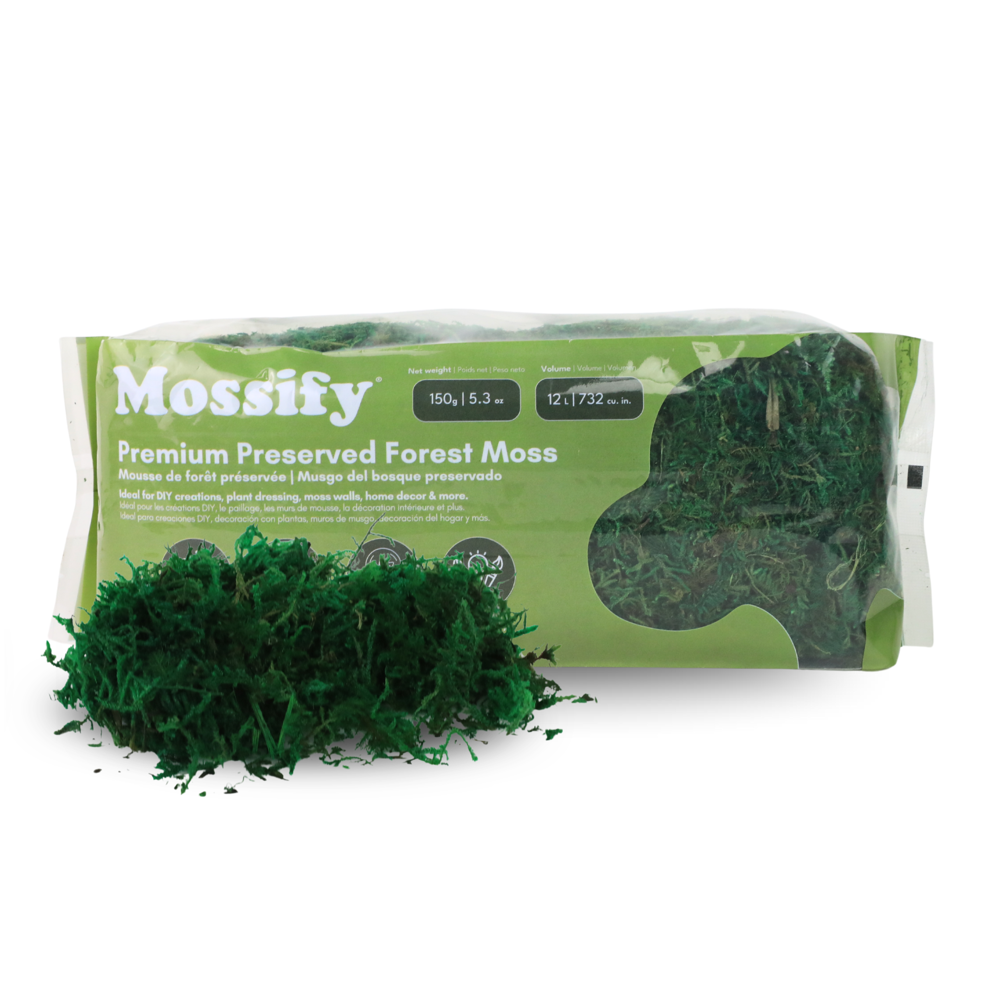 Mossify - Wholesale Live Plant - Premium Preserved Forest Moss – Décor & Design Material3