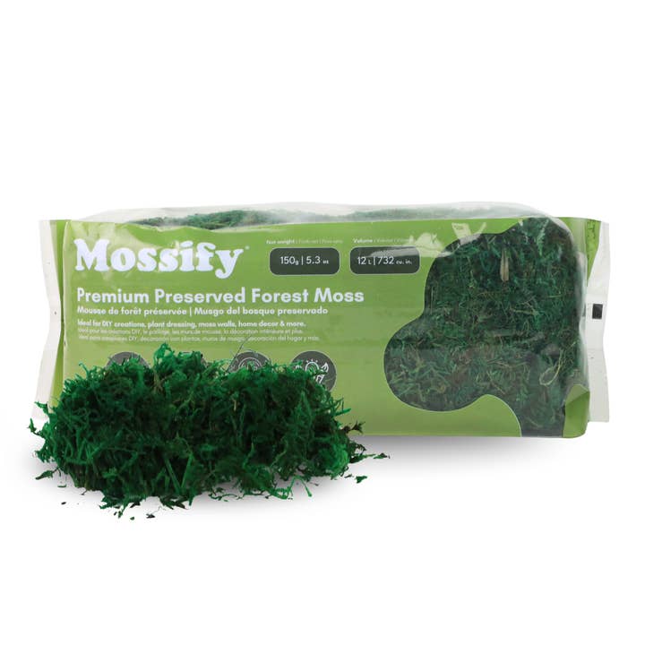 Mossify - Wholesale Live Plant - Premium Preserved Forest Moss – Décor & Design Material3