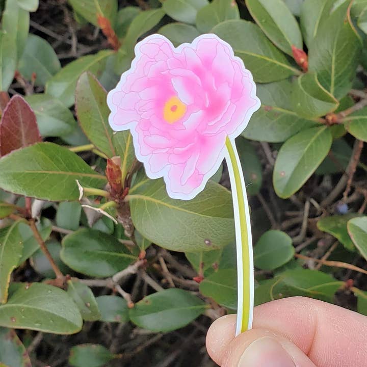 peonía flor peonía para venta al por mayor de Spare Room Design Co.