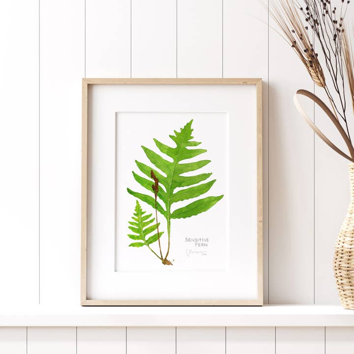 Studio Tuesday - Wholesale Art Print - Sensitive Fern Botanical Watercolor Print